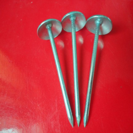 Clous de fer avec la tête parapluie  Clous de fer avec la tête parapluie
