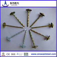 béton clous de toiture en acier  béton clous de toiture en acier