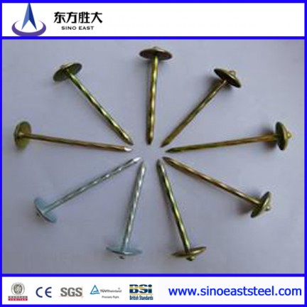 béton clous de toiture en acier  béton clous de toiture en acier