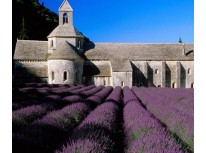 Ces choses sur le français Ces choses sur le français